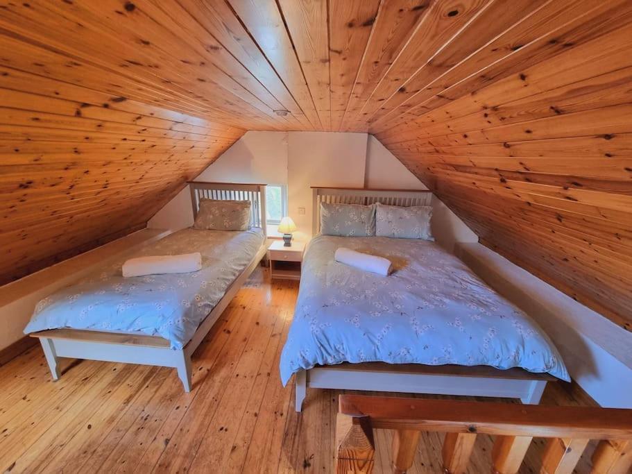 Cottage Skelligs Coast, Ring Of Kerry 凯尔西温 外观 照片