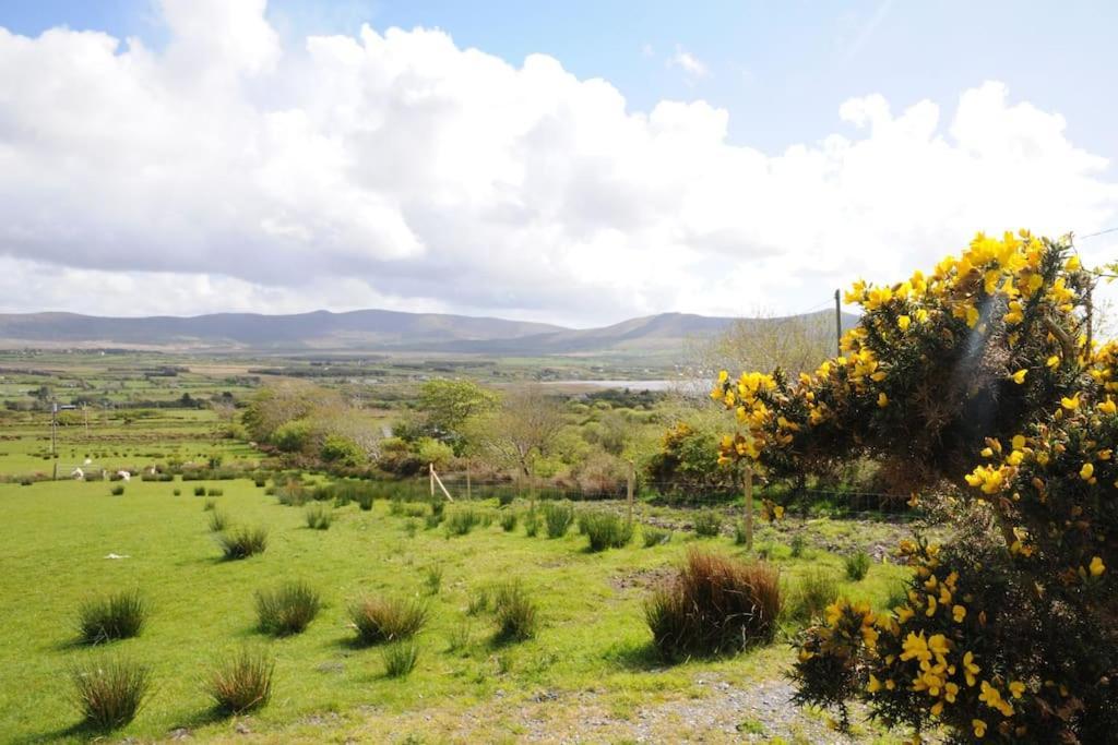 Cottage Skelligs Coast, Ring Of Kerry 凯尔西温 外观 照片