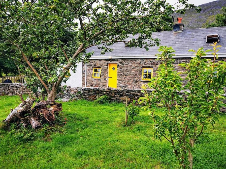 Cottage Skelligs Coast, Ring Of Kerry 凯尔西温 外观 照片